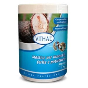 Mastice Vithal per Innesti, Ferite e Potature – 1 kg, Pronto all’Uso con Pennello Applicatore