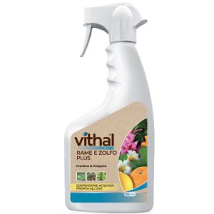 Vithal Rame e Zolfo Plus – Nutrizione Correttiva Spray – 750 ml