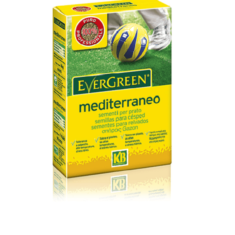 evergreen-mediterraneo