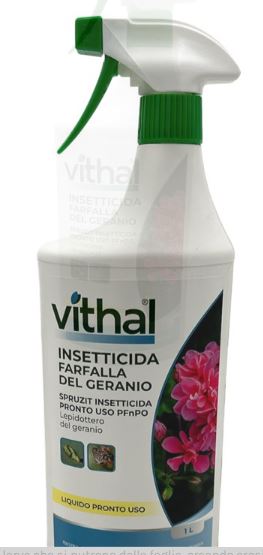 Vithal Insetticida Farfalla del Geranio – Pronto Uso, 1000 ml
