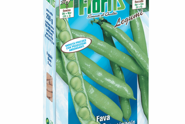 Semi Fava Aguadulce Supersimonia – Astuccio da 250 g
