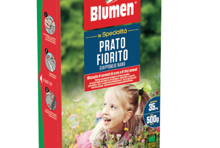 Semi Prato Fiorito Giapponese Nano – Miscuglio Ornamentale 500g