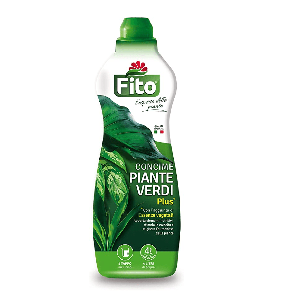 fito-piante-verdi