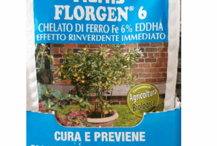 Flortis Florgen 6 – Chelato di Ferro EDDHA 6% – 50 g