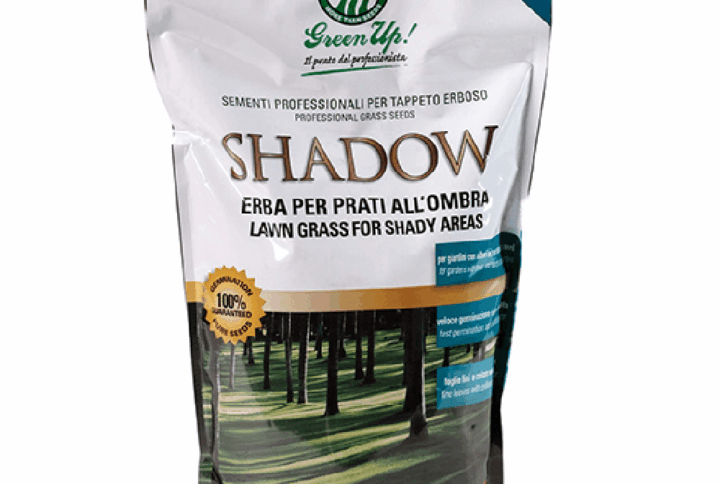 Semi Prato SHADOW – Miscuglio per Zone Ombreggiate – 1,2 kg per 70 m²