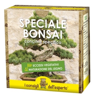 products-bonsai