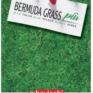 Bermudagrass Più – Gramigna resistente per zone calde – 100 g