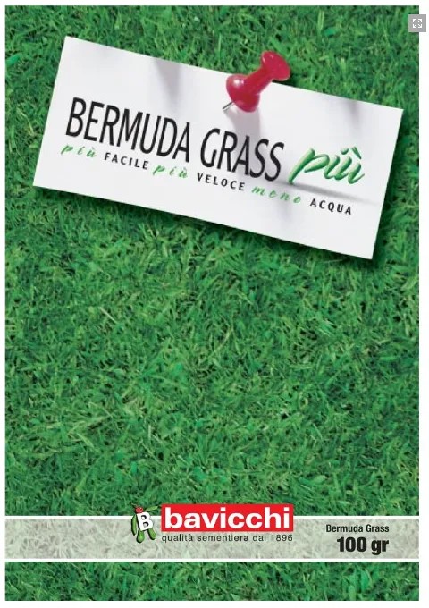 Bermudagrass Più – Gramigna resistente per zone calde – 100 g