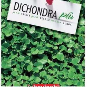 Dichondra Repens Più – Tappeto erboso a bassa manutenzione – 100 g
