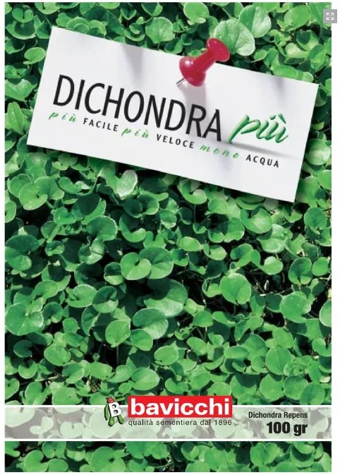 Dichondra Repens Più – Tappeto erboso a bassa manutenzione – 100 g