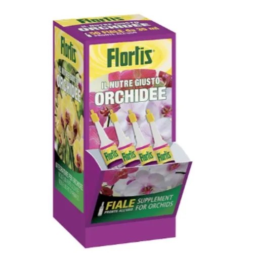FLORIS-Ilnutregiustoorchidee