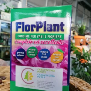 FlorPlant Concime a Lenta Cessione per Vasi e Fioriere – 15-9-14 (3) FlorPlant Concime a Lenta Cessione per Vasi e Fioriere – 15-9-14 (3)