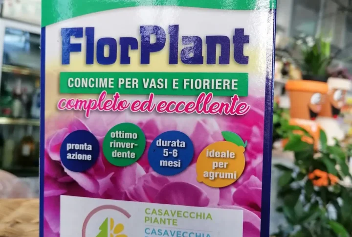 FlorPlant Concime a Lenta Cessione per Vasi e Fioriere – 15-9-14 (3)