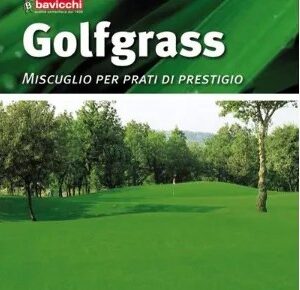 GolfGrass – Miscuglio Prato di Pregio Verde Scuro