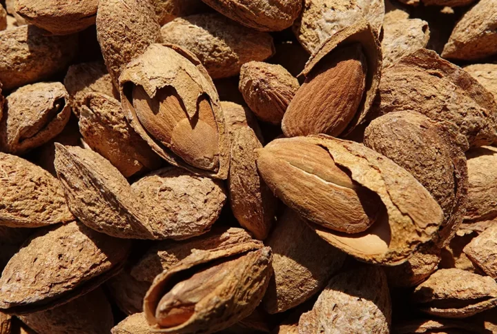 Mandorle Tostate e Salate – Qualità premium per uso alimentare – 2 Kg