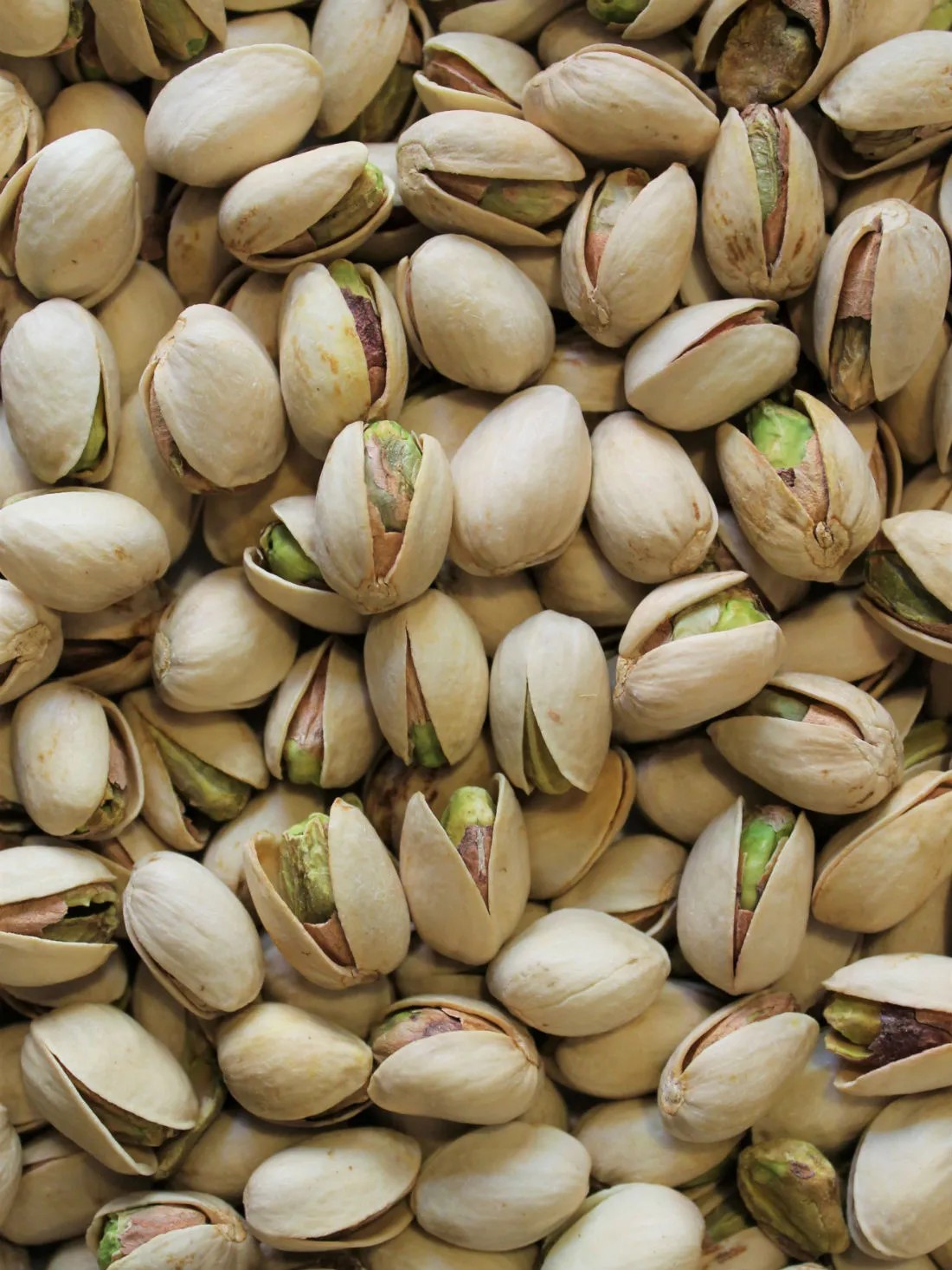 PISTACCHIOUSAXXL