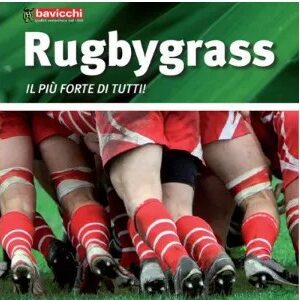Rugbygrass – Miscela professionale per tappeti erbosi resistenti