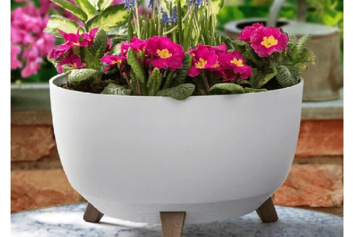 Roma Ciotola con Piedini – Vaso Moderno in Plastica con Riserva d’Acqua – Ø 24.2 cm x h 15 cm