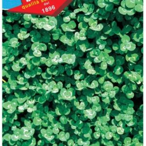 Trifoglio B Nanissimo Mix – Tappeto erboso resistente e strisciante – 100 g