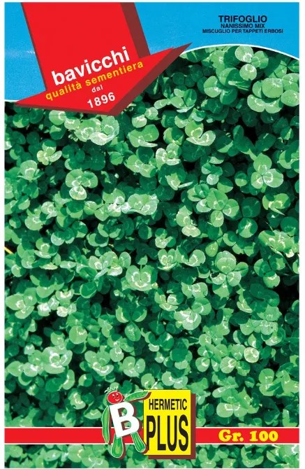 Trifoglio B Nanissimo Mix – Tappeto erboso resistente e strisciante – 100 g