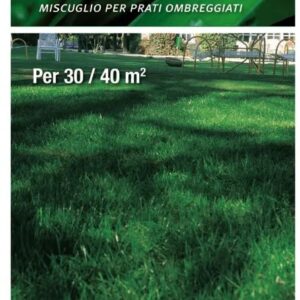 Umbragrass  – Miscuglio per tappeti erbosi in zone d’ombra
