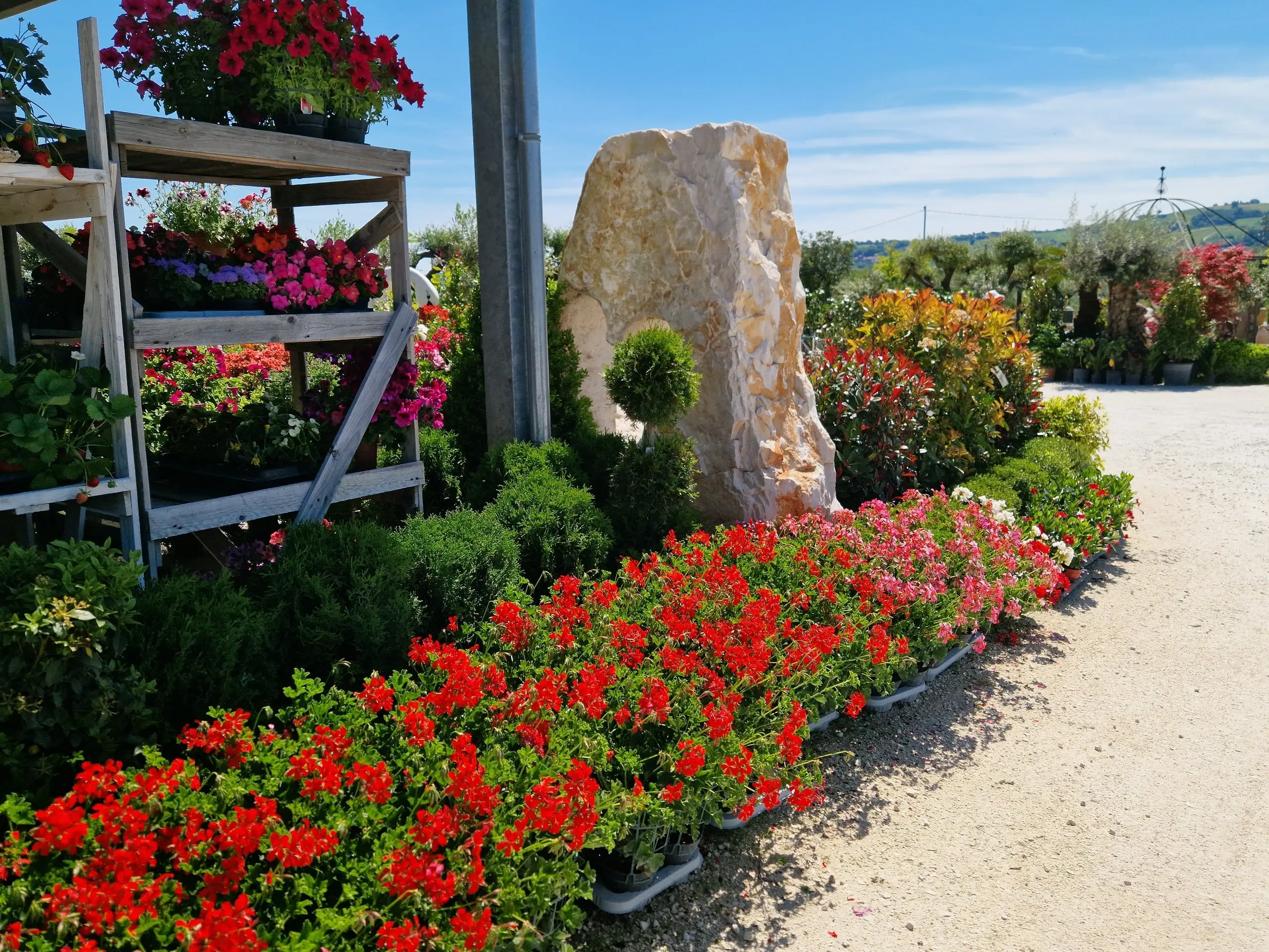 casavecchia piante home 4 1 - Casavecchia Service
