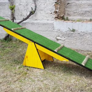 agility dog