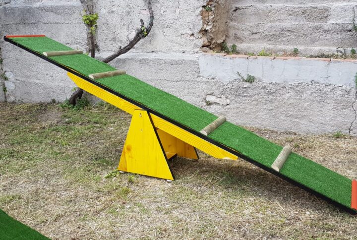 agility dog