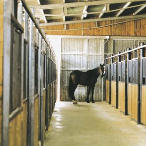 Box cavalli per interni
