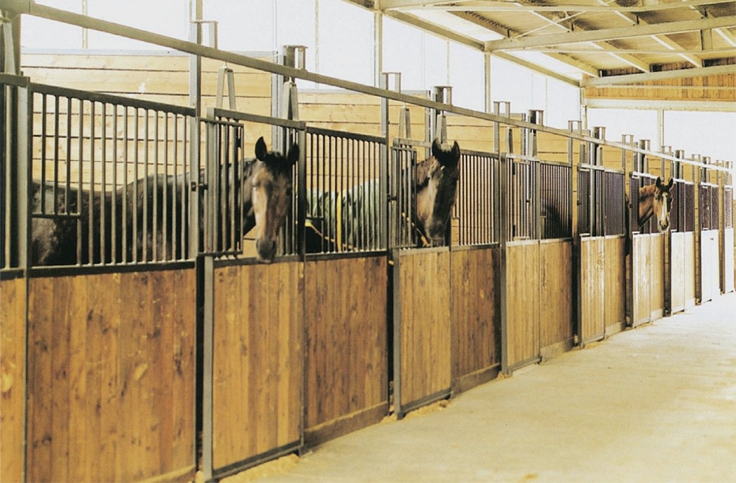 box-cavalli-per-interni-02-1.jpg