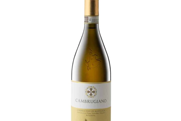 vino cambrugiano 75 cl