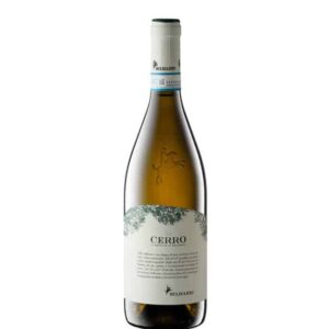 vino verdicchio matelica