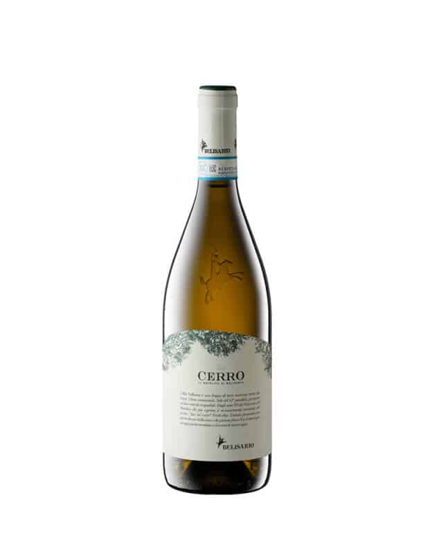 vino verdicchio matelica