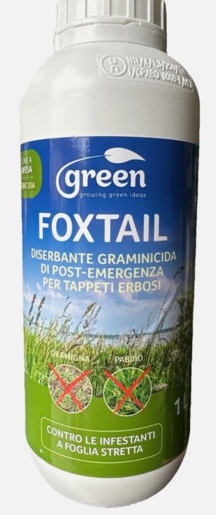 foxtail nuovo