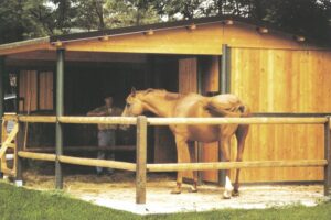 Box cavalli – Mod. SPECIAL