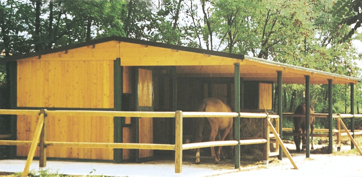 mod-special-02-1.jpg