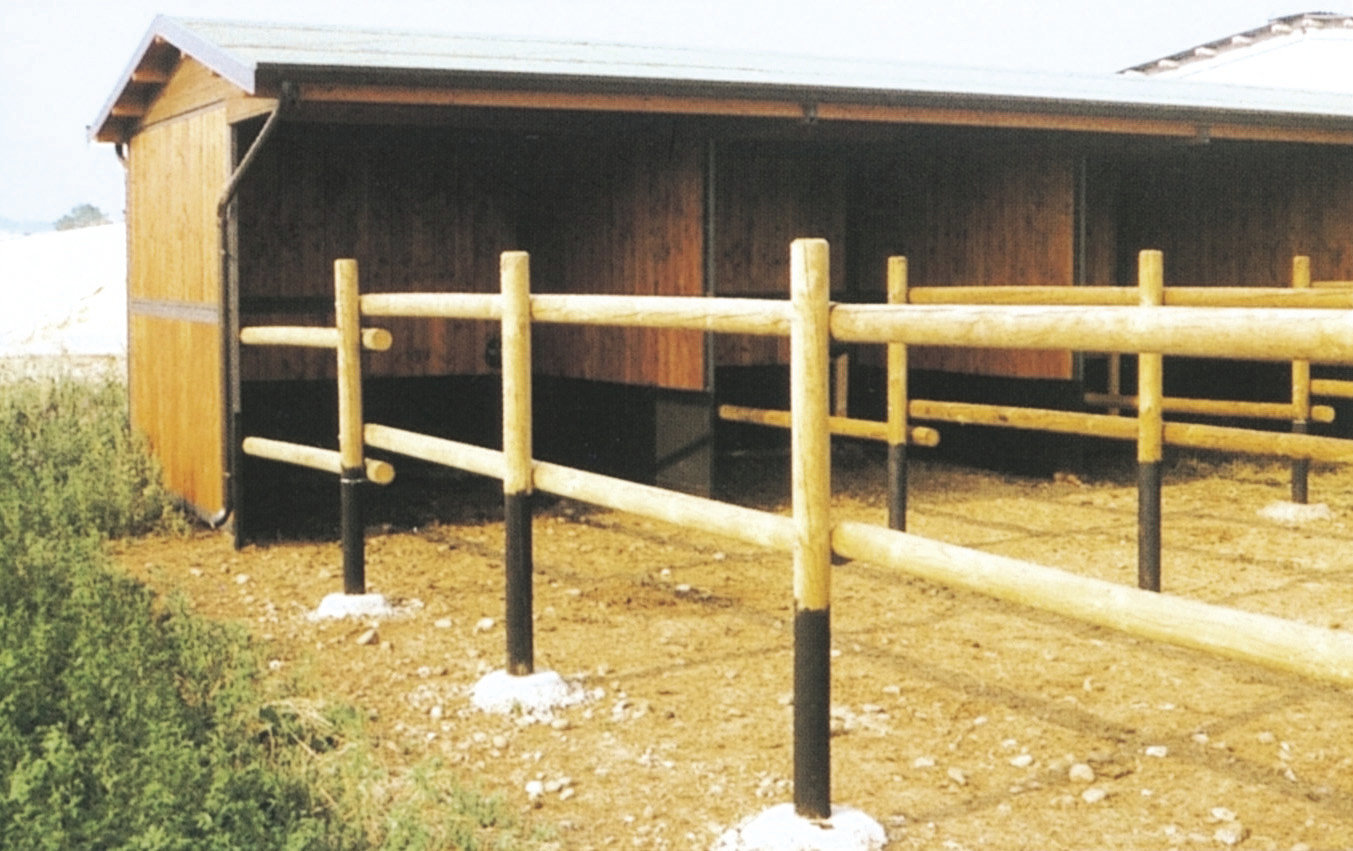 paddock-01-1.jpg