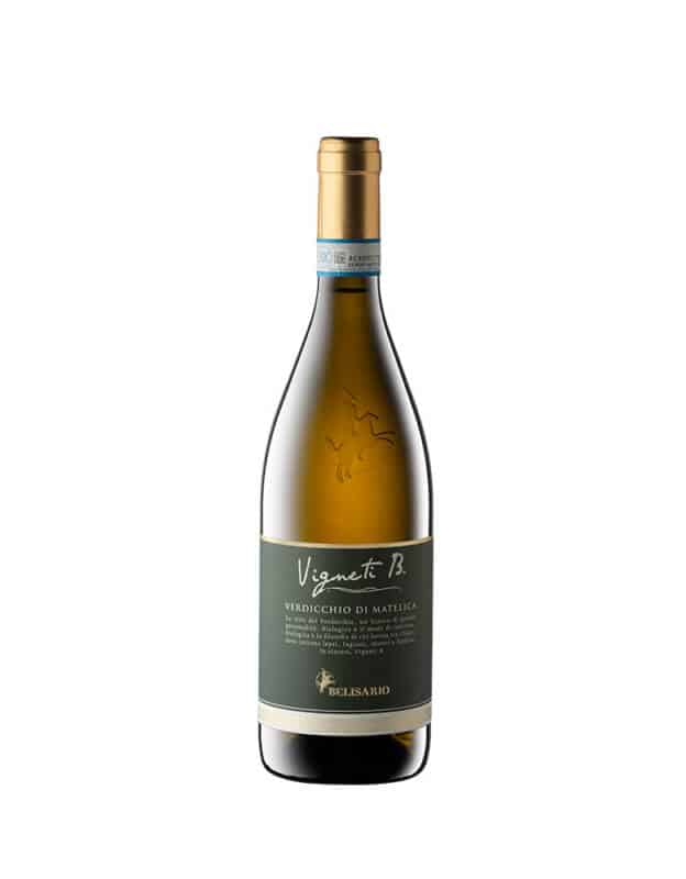 vigneti-b-verdicchio-624×800