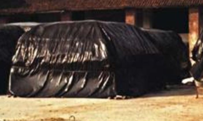 telo nero