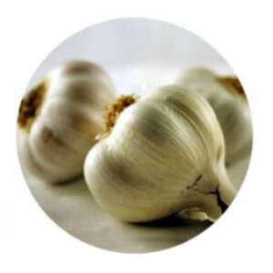 aglio e cipolla