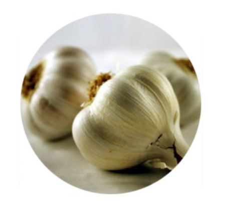aglio e cipolla
