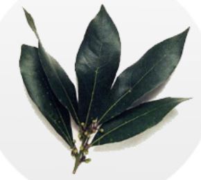 aromatiche