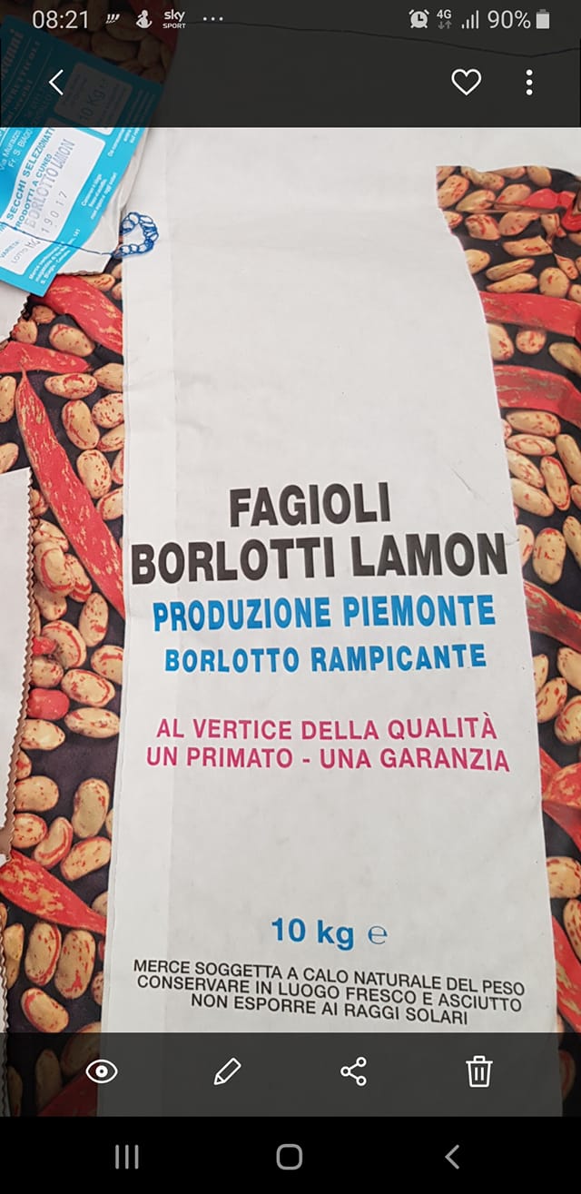 borlo