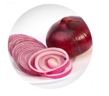 cipolla 1