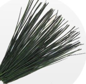erba cipollina