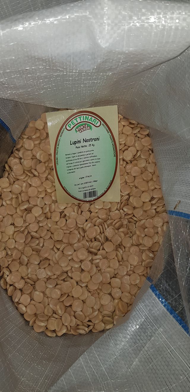 lupini