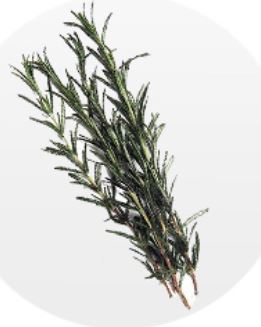 rosmarino