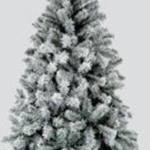 albero innevato