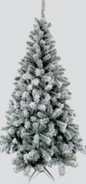 albero canadian innevato