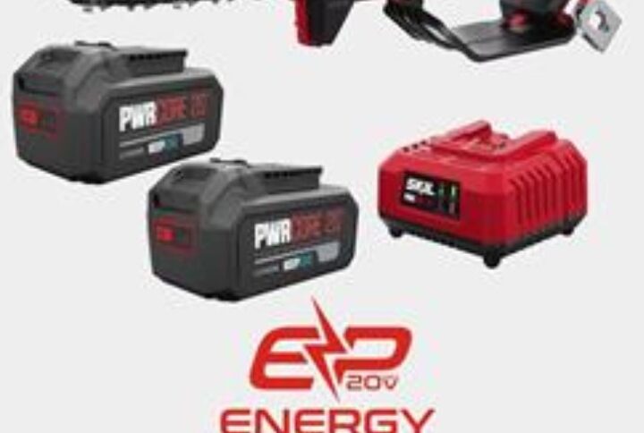 SEGA POTATURA A BATTERIA SKIL 512 +KIT 2X4AH
